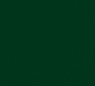 Vert forêt