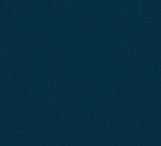 blu navy