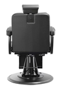 FLINT Fauteuil Barbier de Dos - Malys Equipements