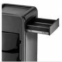 NOVO_Chariot_de_Coloration_vue_laterale_malys_equipements