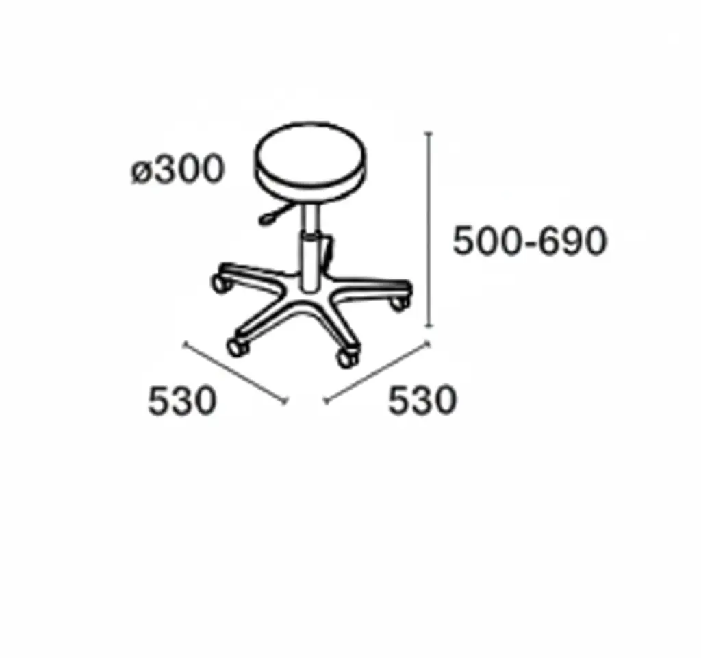 FUYU DIMENSIONS.webp