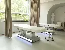 MOLDAVI PLUS Table de Massage et de SPA avec éclairage LED.webp