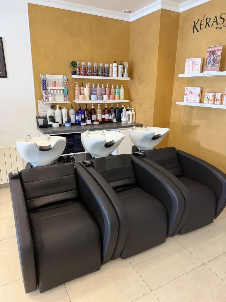 Bac Shampoing Royal Confort Malys Equipements.webp