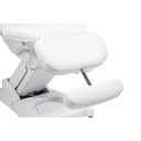 GIRTA Fauteuil d'Esthétique Électrique