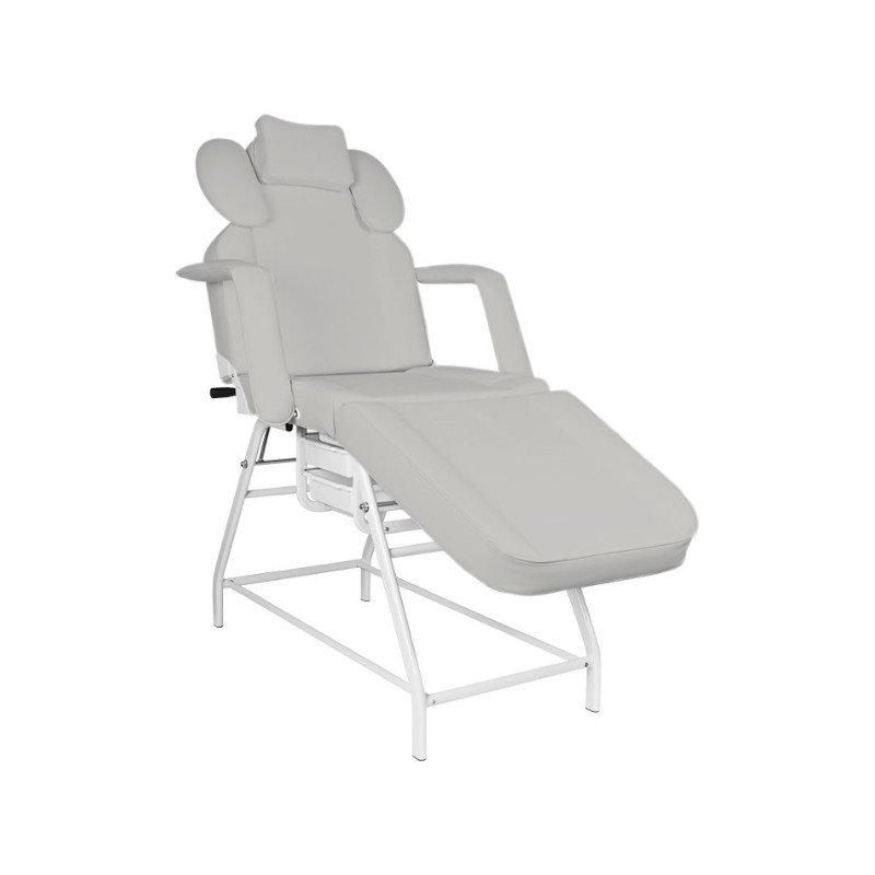 LYA Gris Fauteuil de Soins Esthétiques