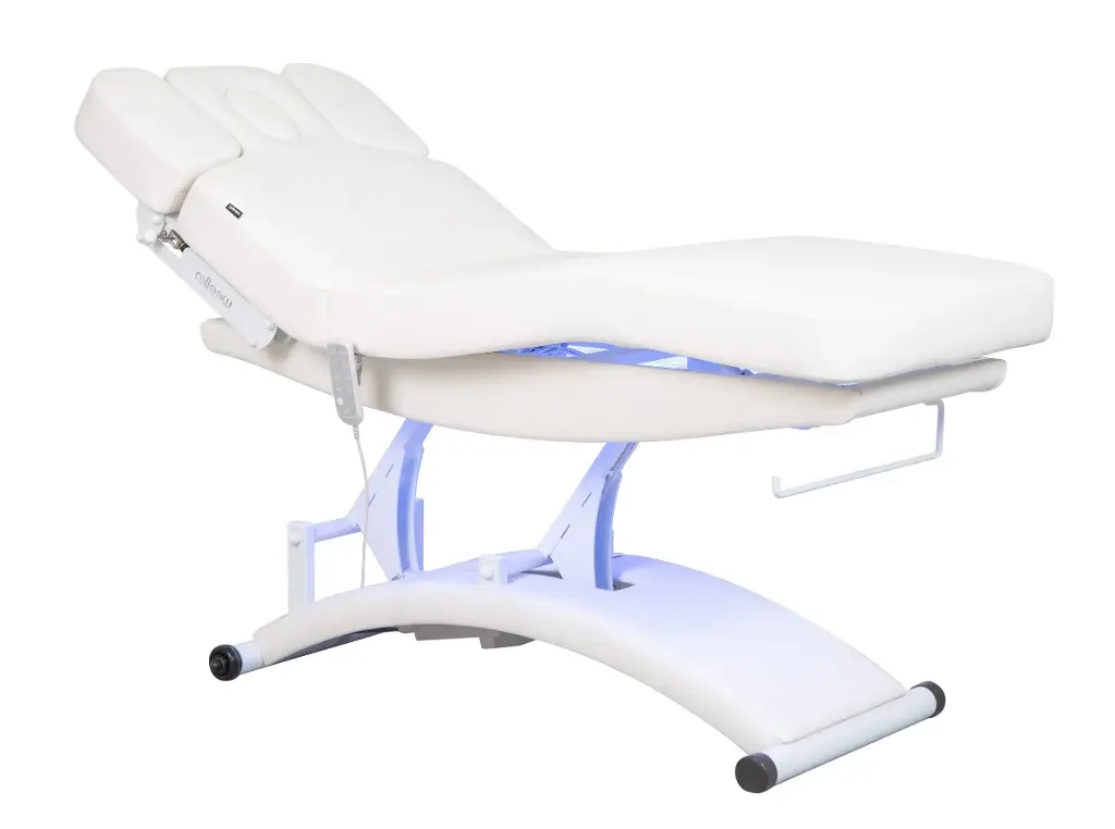 TAL Table de Massage et Soins Électrique Chauffante