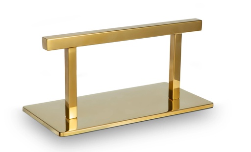 [MRP-GAN] GAN Fotstøtte