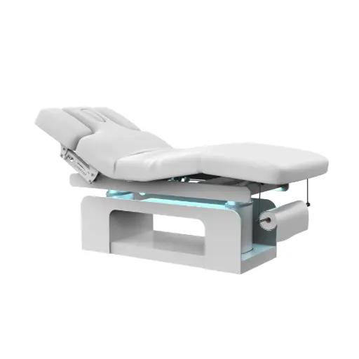[DD-MOONWH] HEMA Electric massage table