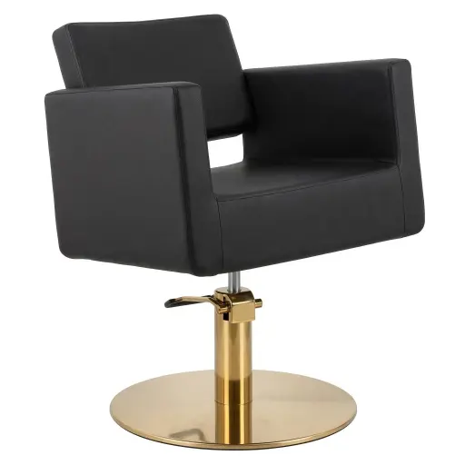 BRAID Black Gold Hairdressing Chair