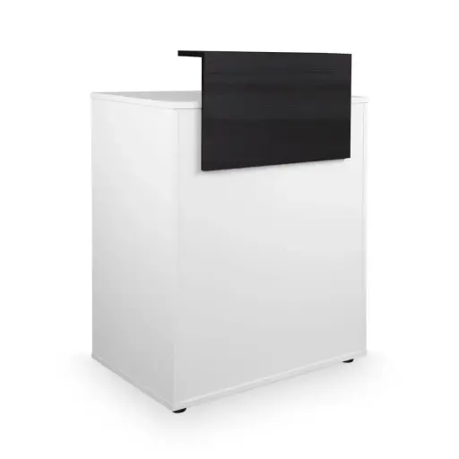 [MRP-DYLAN22/98] DYLAN 22/98 Reception disk 