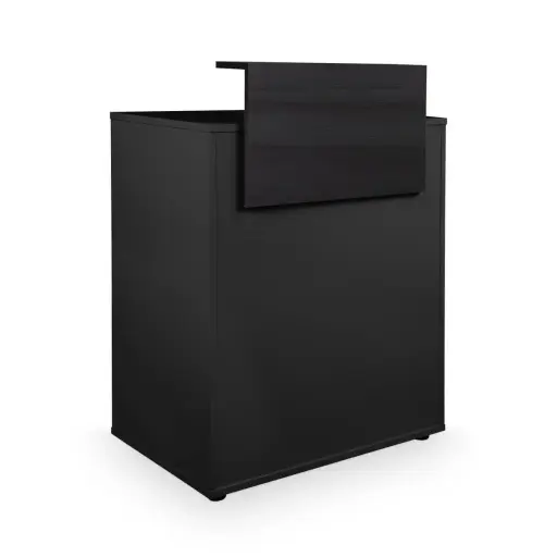 [MRP-DYLAN98/98] DYLAN 98/98 Caja de recepción 